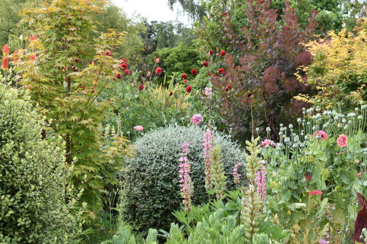 Bed and Breakfast Olivista Masterton Esterno foto