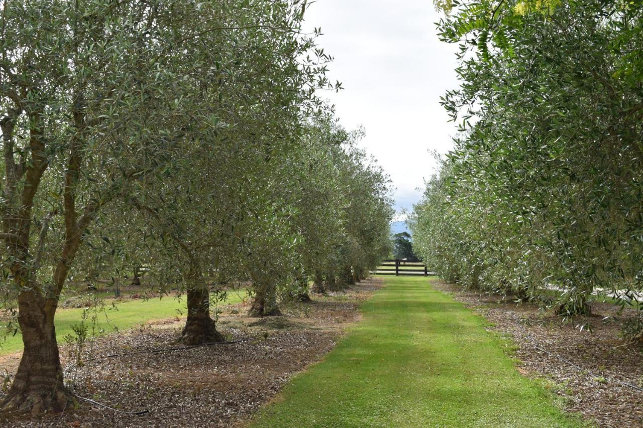 Bed and Breakfast Olivista Masterton Esterno foto
