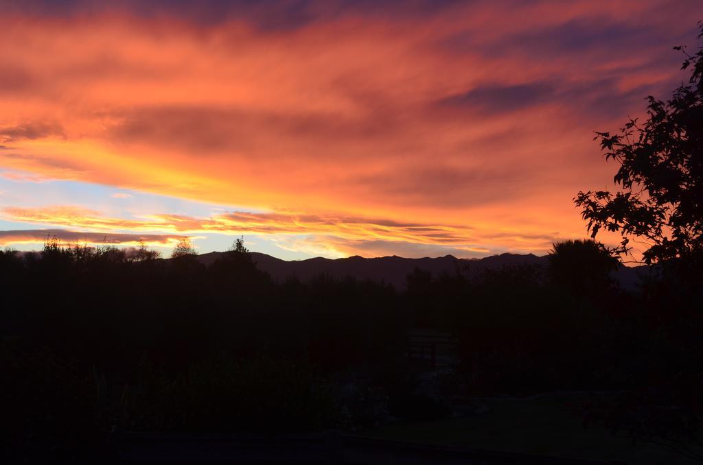 Bed and Breakfast Olivista Masterton Esterno foto